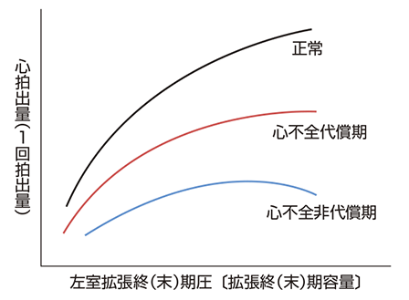 フランク・スターリングの心機能曲線<sup>２</sup>