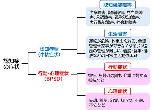 図1 認知症の症状