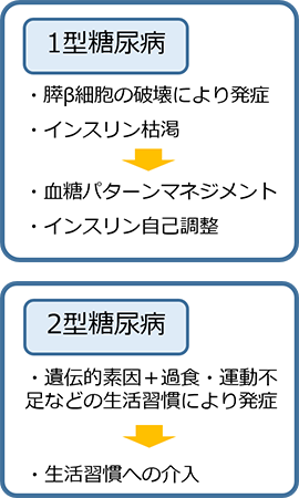 図1　1型糖尿病と2型糖尿病の違い