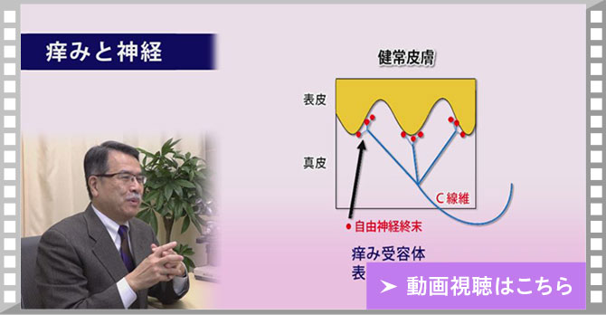 動画視聴はこちら