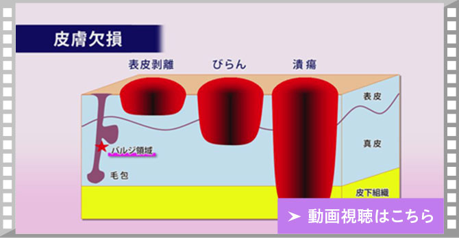 動画視聴はこちら