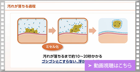 動画視聴はこちら