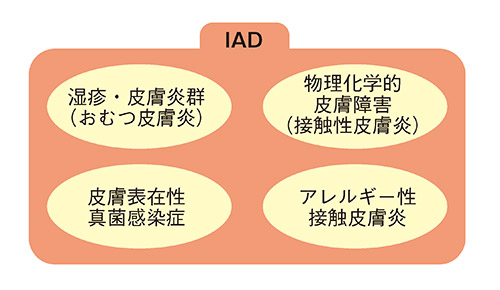 図1　IADは排泄物の接触に伴う局所の炎症の存在を示す広義の概念（イメージ）