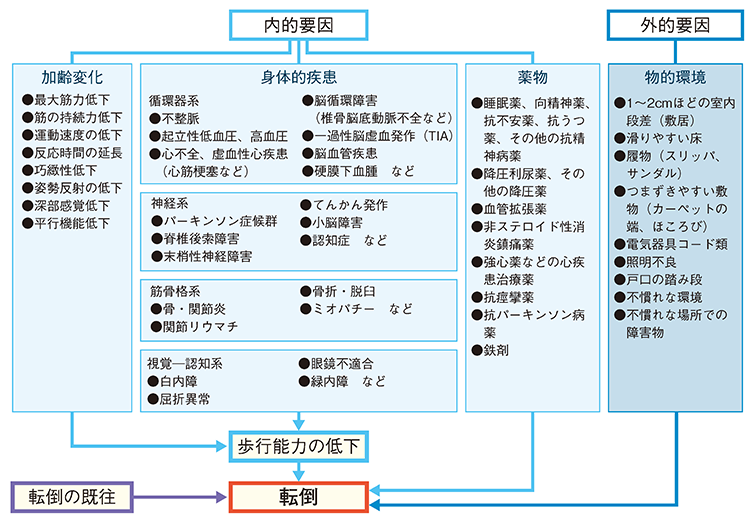 図1　転倒の危険因子の多様性