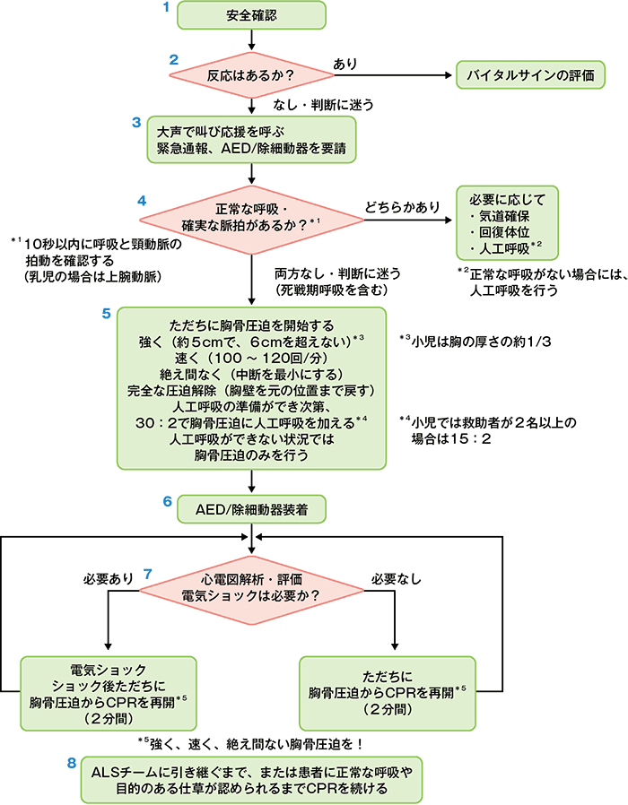 医療従事者のためのBLSアルゴリズム