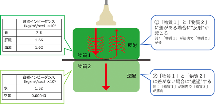 図1　物質の差で起こる「反射」と「透過」