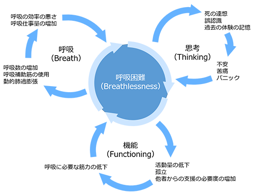 図2　The Breathing, Thinking, Functioning clinical model（BTFモデル）