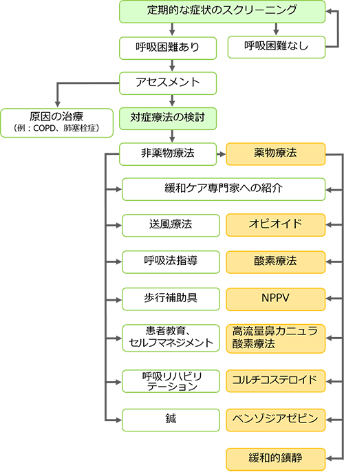 図3　ESMO診療ガイドラインによる呼吸困難に対する階層的アプローチ