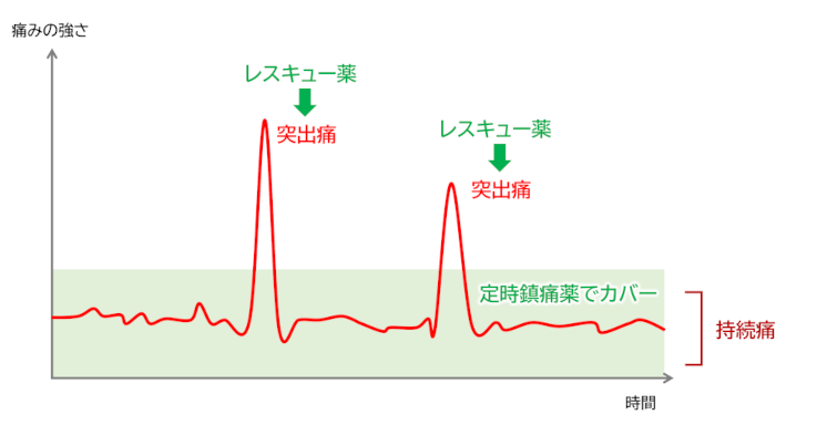痛みに応じ、定時鎮痛薬とレスキュー薬を併用する 