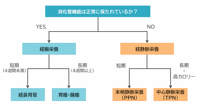 栄養投与経路の選択