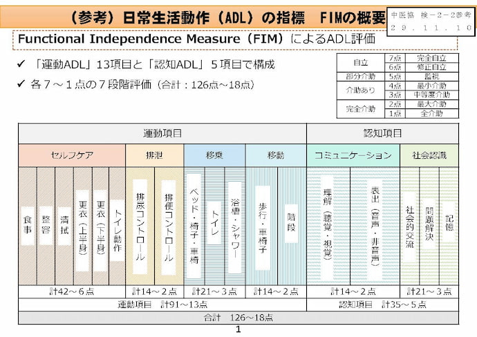 図3　FIMの概要