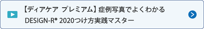 【ディアケア プレミアム】症例写真でよくわかる DESIGN-R® 2020つけ方実践マスター