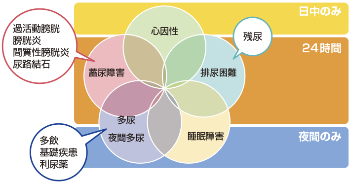 図1　頻尿の種類と原因