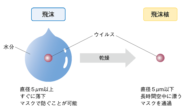 Part2 感染対策の基礎知識をおさえておこう アルメディアweb