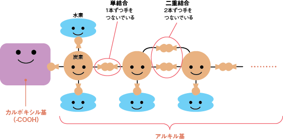 図3　脂肪酸の構造（イメージ）の参照画像