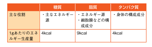 表3　三大栄養素の主な役割の参照画像