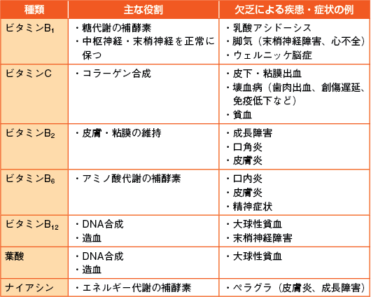 表4　主な水溶性ビタミンと特徴の参照画像