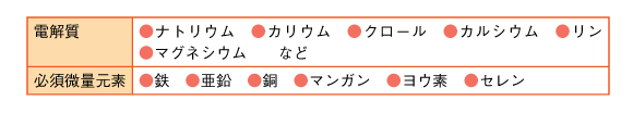 表6　主なミネラルの参照画像