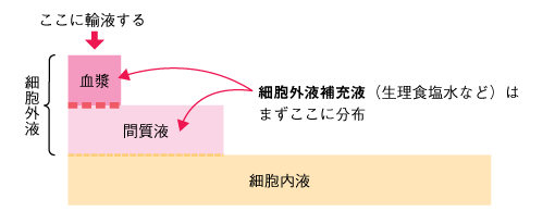 図14 輸液の分布 ■細胞外補充液の分布の参照画像