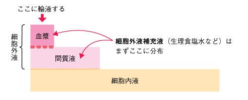 図14　輸液の分布　■細胞外補充液の分布の参照画像