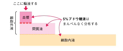 図14　輸液の分布　■5％ブドウ糖液の分布の参照画像