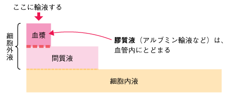 図14 輸液の分布 ■膠質液の分布の参照画像