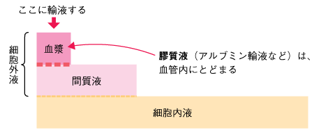 図14　輸液の分布　■膠質液の分布の参照画像