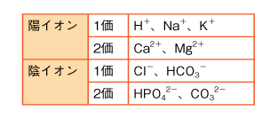 表8　イオンの分類の参照画像