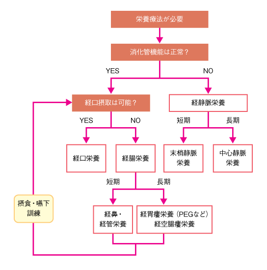 図15　栄養投与経路の選択の参照画像