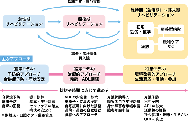 リハビリテーションの経過と主なアプローチ