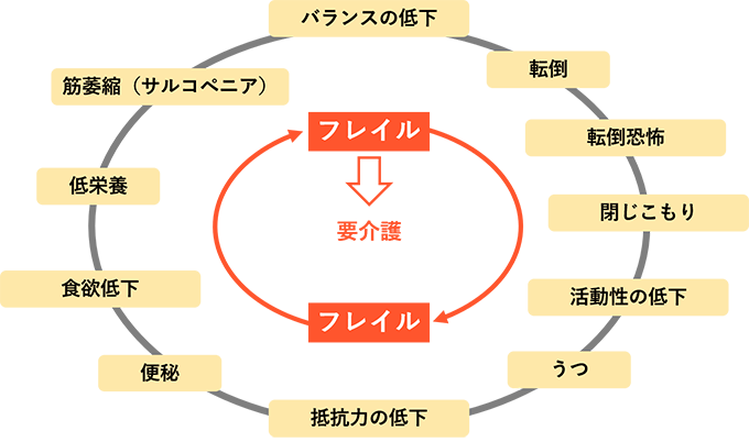 フレイルの悪循環