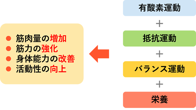 抗重力筋の維持・改善に向けた運動の基本