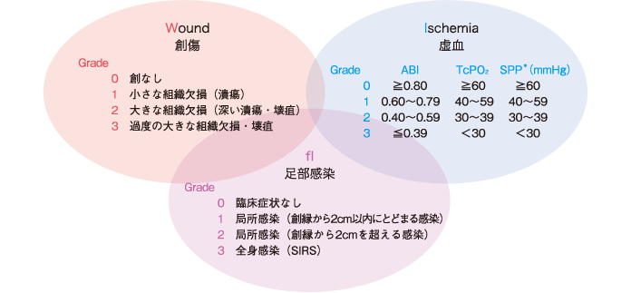 図9 WIfI分類