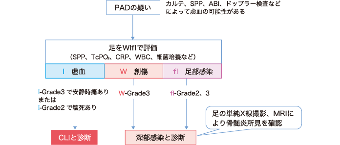 図10 重症下肢虚血の診断のステップ