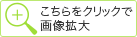 zoom icon