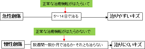 図１ 急性創傷と慢性創傷