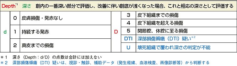 図１ DESIGN-R®2020における「d/D」の項目