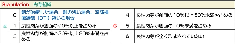 図３ DESIGN-R®2020 における「g/G」の項目