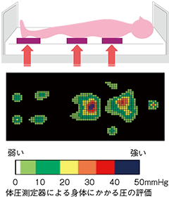 図１ 身体の構造と体圧と褥瘡の関係