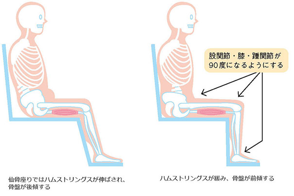 図８ 座位と姿勢の位置関係