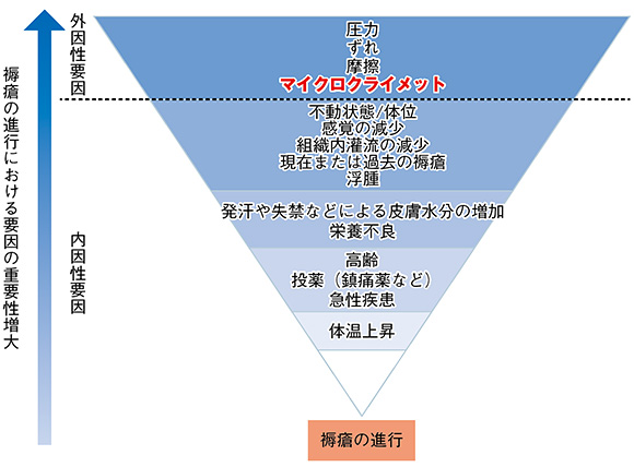 図１ 褥瘡の進行における各種要因