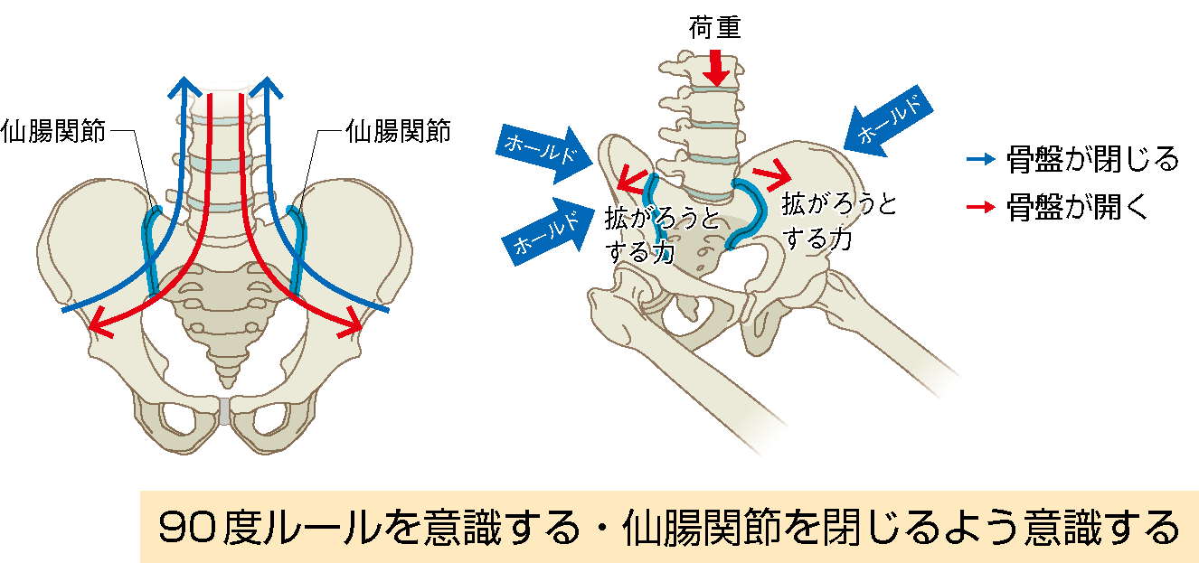 図２ 仙腸関節を意識した介入