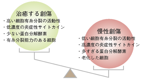 図１ 治癒する創傷と慢性創傷に関する細胞分子環境の不均衡