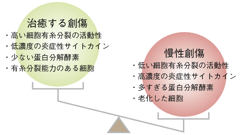 図１ 治癒する創傷と慢性創傷に関する細胞分子環境の不均衡