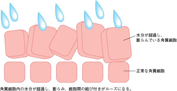 図１ 浸軟とは