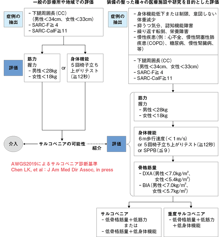 図２ サルコペニアの診断基準2019（AWGS 2019）