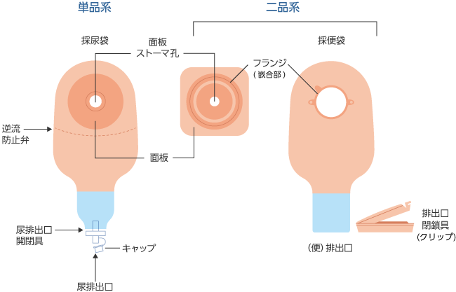 図１　ストーマ装具の名称