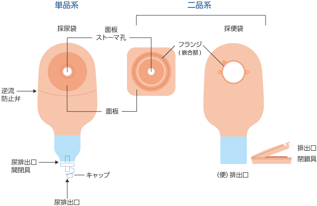 A．ストーマ装具（面板、ストーマ袋） :ストーマのセルフケア |ディアケア