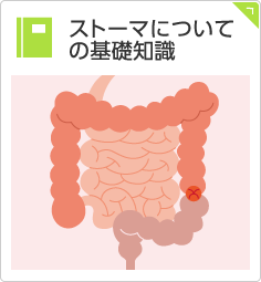 ストーマについての基礎知識