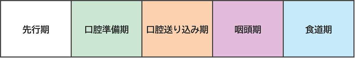嚥下の5期モデル